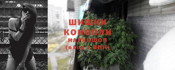 ешки Аркадак