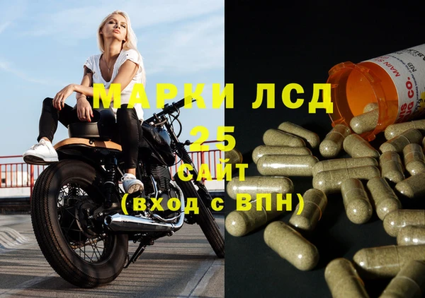 ешки Аркадак