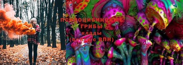 соль ск Арсеньев