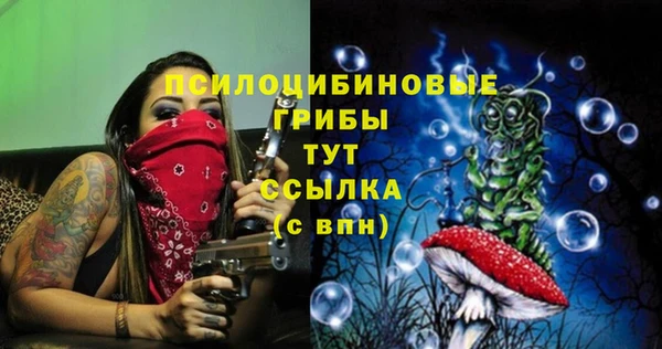 ешки Аркадак