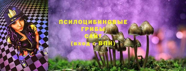 ешки Аркадак