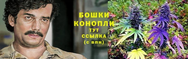 соль ск Арсеньев