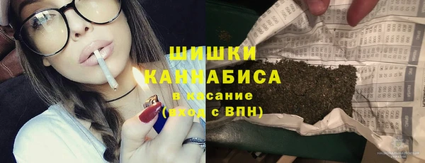 ешки Аркадак