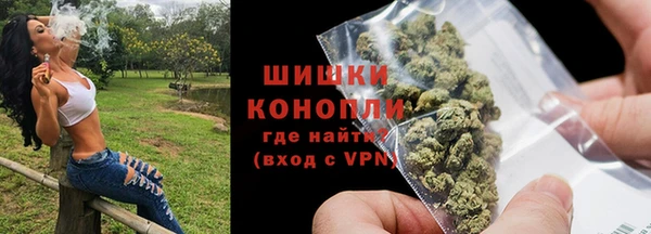 ешки Аркадак