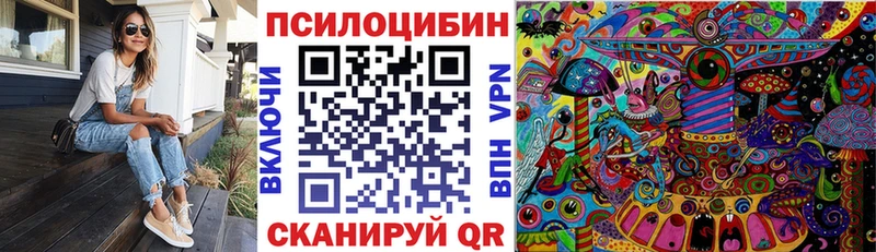 darknet телеграм купить наркотик Любань Псилоцибиновые грибы Psilocybe